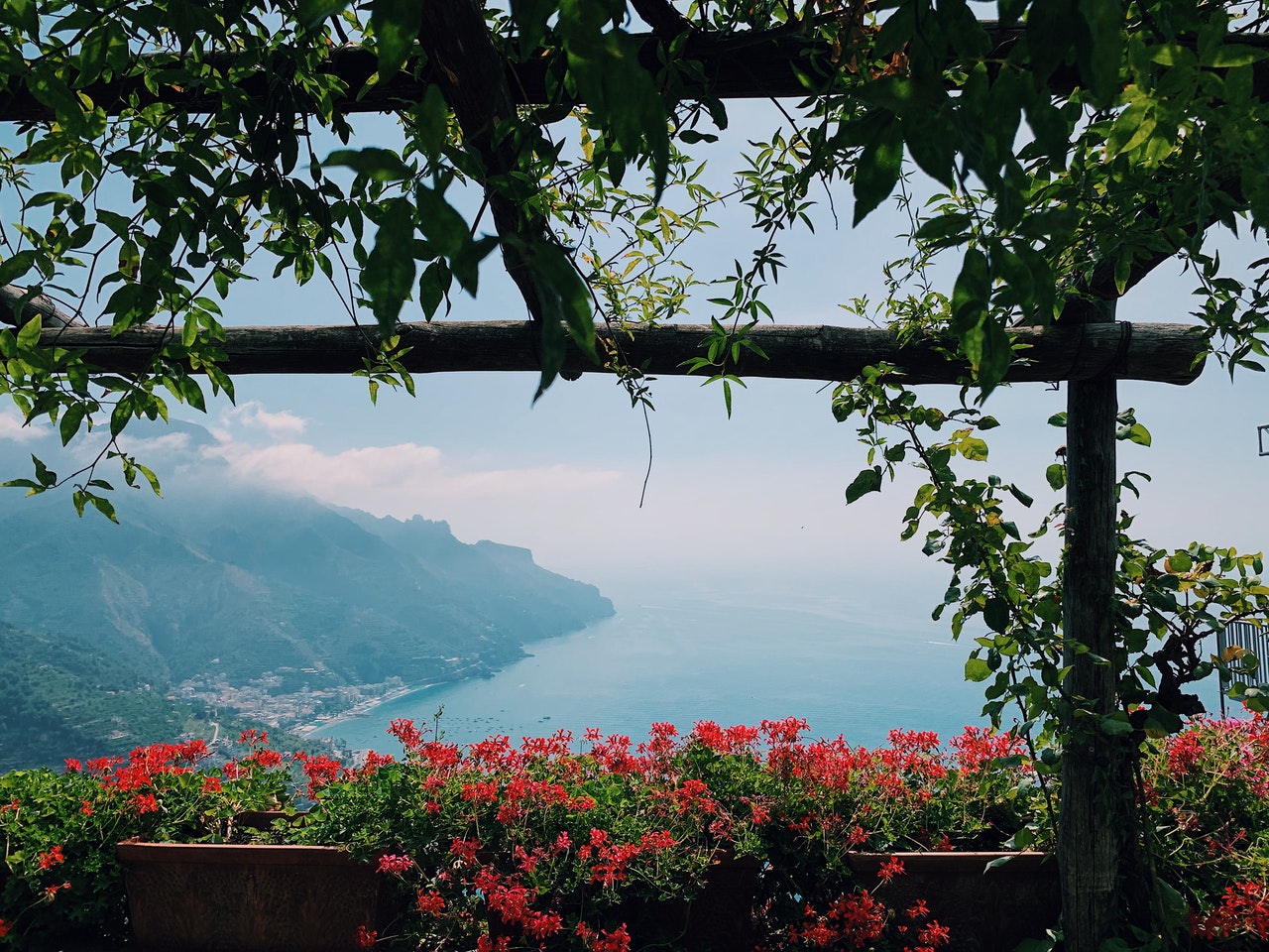 Beautiful view wtth mediterranean plants