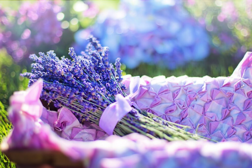 Beautiful lavender in a basket
